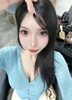 Meimei Lee Sweet Girl Vietnam - escort in Taipei Photo 29 of 29