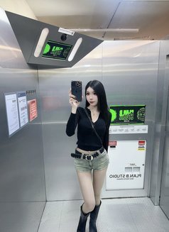 Meimei Lee Sweet Girl Vietnam - escort in Taipei Photo 24 of 29