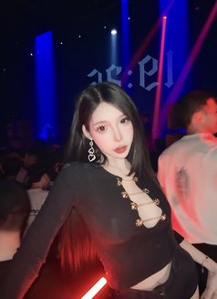Meimei Lee Sweet Girl Vietnam - escort in Taipei Photo 25 of 29