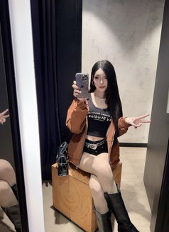 Meimei Lee Sweet Girl Vietnam - escort in Taipei Photo 26 of 29