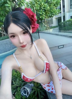 Meimei Lee Sweet Girl Vietnam - escort in Taipei Photo 28 of 29