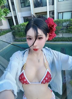 Meimei Lee Sweet Girl Vietnam - escort in Taipei Photo 29 of 29