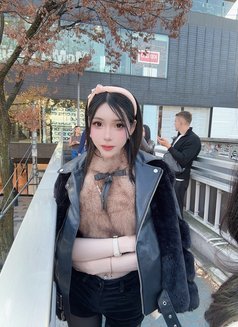 Meimei Lee Sweet Girl Vietnam - escort in Taipei Photo 19 of 29