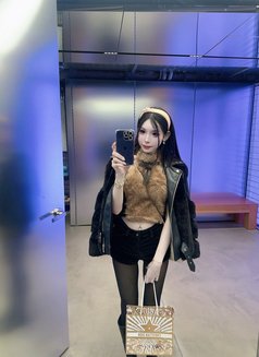 Meimei Lee Sweet Girl Vietnam - escort in Taipei Photo 20 of 29