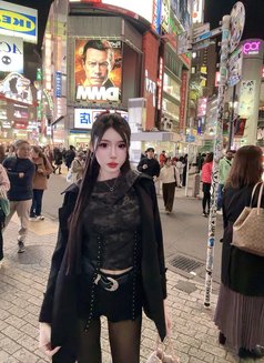 Meimei Lee Sweet Girl Vietnam - escort in Taipei Photo 25 of 29