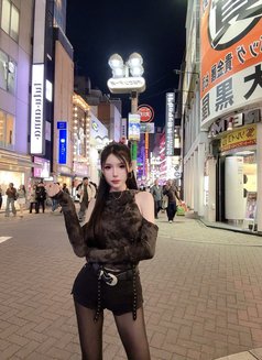 Meimei Lee Sweet Girl Vietnam - escort in Taipei Photo 27 of 29