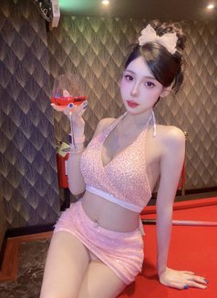 Meimei Lee Sweet Girl Vietnam - escort in Bangkok Photo 23 of 23