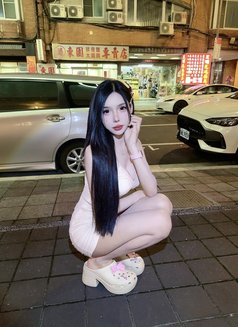 Meimei Lee Sweet Girl - escort in Taipei Photo 30 of 30