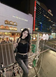 Meimei Lee Sweet Girl - escort in Bangkok Photo 24 of 29