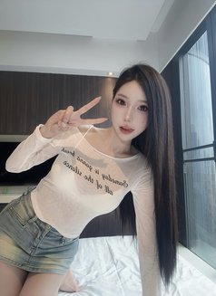Meimei Lee Sweet Girl - escort in Taipei Photo 28 of 29