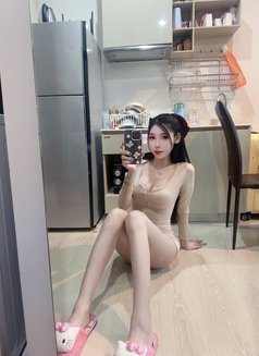 Meimei Lee Vietnam Girl - escort in Taipei Photo 6 of 20