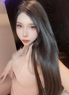 Meimei Lee Vietnam Girl - escort in Taipei Photo 17 of 20