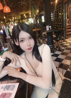 Meimei Lee Vietnam Girl - escort in Taipei Photo 18 of 20