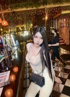 Meimei Lee Vietnam Girl - escort in Taipei Photo 19 of 20