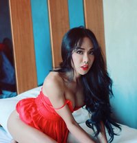 Meisa - Transsexual escort in Udon Thani