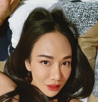 Meisa - Transsexual escort in Pattaya