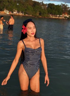 Meisa - Transsexual escort in Pattaya Photo 9 of 11