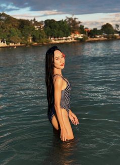 Meisa - Transsexual escort in Pattaya Photo 10 of 11