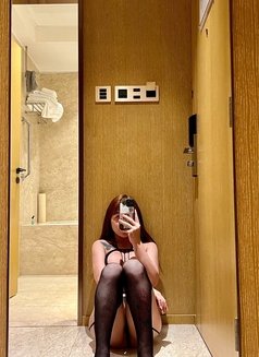 Meisy Big C*ck - Transsexual escort in Taipei Photo 5 of 5