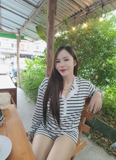 Meji 26'y (in call service 2500฿) - escort in Chiang Mai Photo 4 of 9