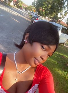 Melanie - escort in Kuala Lumpur Photo 9 of 9