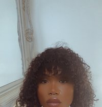 Melanin Pleaser - Transsexual escort in Cape Town
