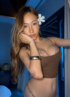 Melda Mini 156cm,Sukhumvit🇹🇭 - Transsexual escort in Bangkok Photo 19 of 19