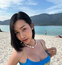 Melda Sharon - Transsexual escort in Bangkok