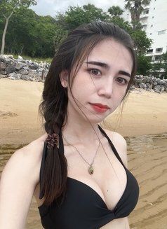 Melin New in boshar🇮🇩 - Transsexual escort in Muscat Photo 6 of 10