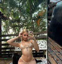 Melissa Castro - puta in Rio de Janeiro