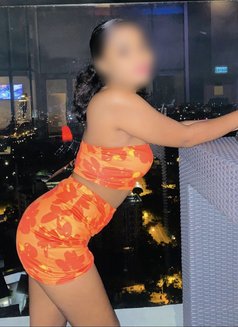 Melissa GFE Independent Meets - escort in Colombo Photo 26 of 27