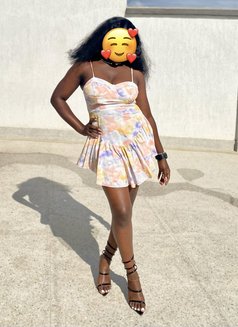 Melissa - puta in Nairobi Photo 3 of 4