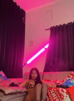 Mellisa Top for You Very Hard Big Cock - Transsexual escort in Bali Photo 9 of 10