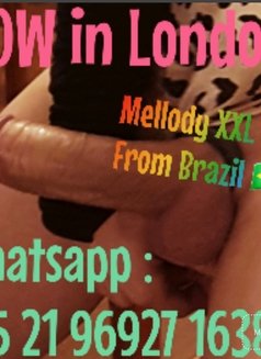 Mellody Xxl - Transsexual escort in London Photo 18 of 27