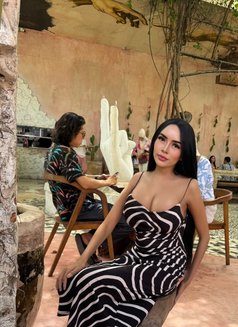 Melody Good Service and Beautiful - Acompañantes transexual in Bali Photo 6 of 8