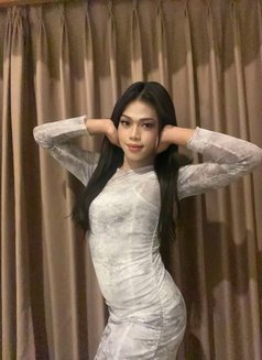 Melody - Transsexual escort in Bali Photo 1 of 15
