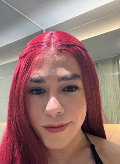 Byby melody - Acompañantes transexual in Singapore Photo 4 of 7