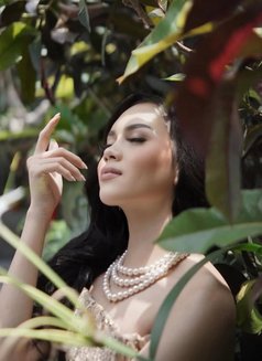 Melody Popular Demand - Acompañantes transexual in Bali Photo 7 of 8