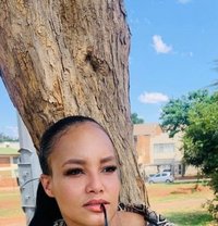 Meloo - escort in Johannesburg