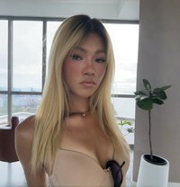 Mely - Transsexual escort in Bangkok