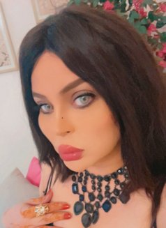 Meme Queen - Acompañantes transexual in Dubai Photo 6 of 6