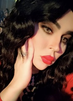 Meme Queen - Acompañantes transexual in Dubai Photo 6 of 8