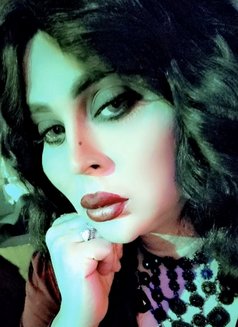 Meme Queen - Acompañantes transexual in Dubai Photo 7 of 8