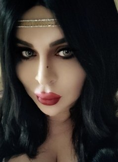 Meme Queen - Transsexual escort in Dubai Photo 3 of 3