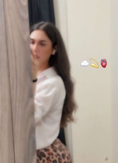 Memo - Transsexual escort in Beirut Photo 15 of 18