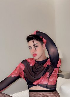 Memô - Male escort in Riyadh Photo 7 of 7