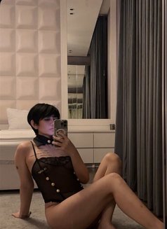 🇹🇭Mena Girl Slave & Mistress 🇸🇦 - escort in Riyadh Photo 5 of 7