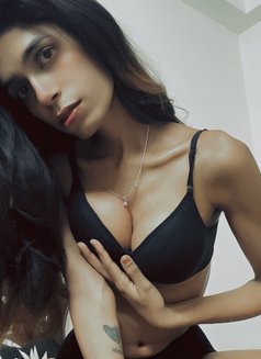 Meow Cat - Acompañantes transexual in Bangalore Photo 5 of 9