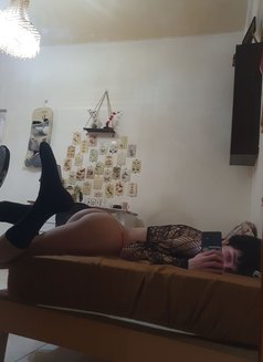 Meow - Male escort in Beirut Photo 1 of 3