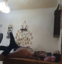 Meow - Male escort in Beirut